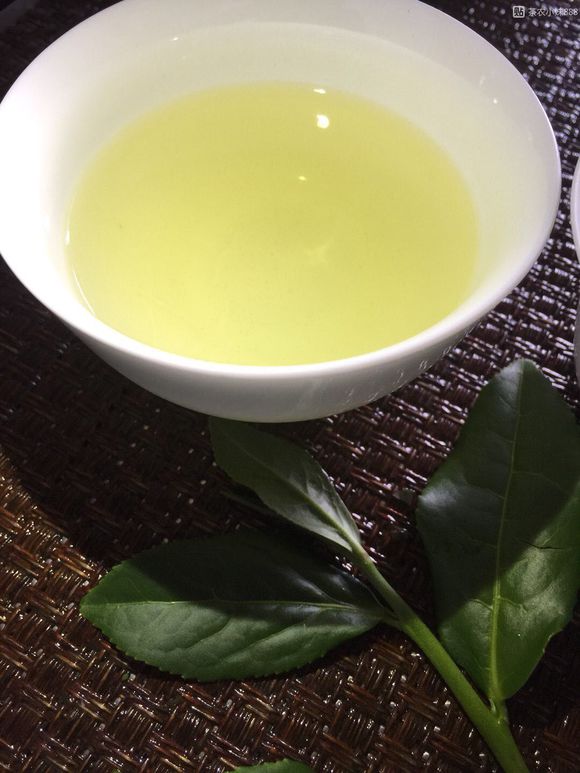 铁观音茶汤 铁观音茶汤