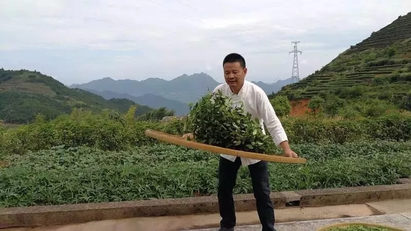 魏月德 魏月德