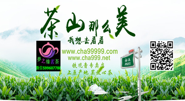 铁观音产地 铁观音产地
