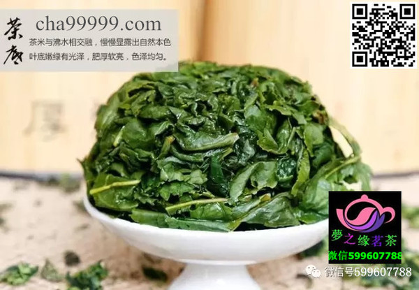 铁观音春茶 铁观音春茶