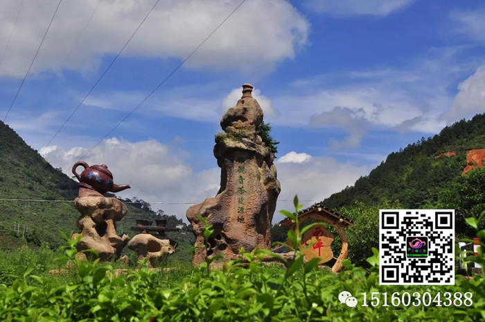 铁观音发源地 铁观音发源地