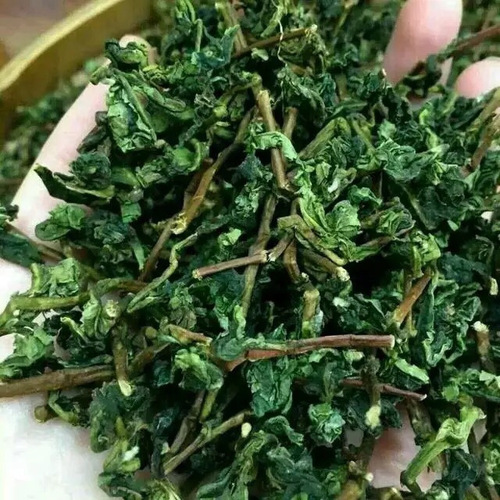 铁观音毛茶 铁观音毛茶