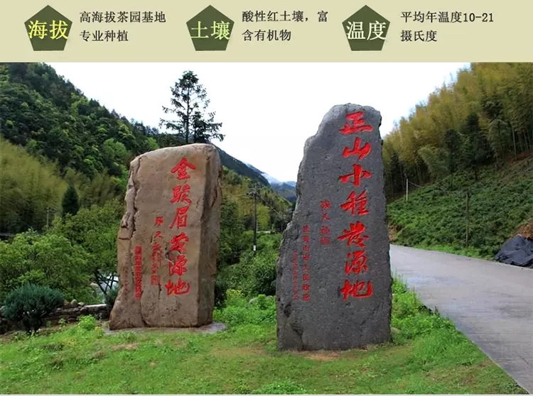 金骏眉产地图片 金骏眉产地图片